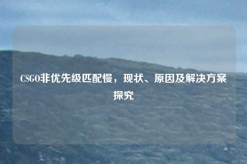 CSGO非优先级匹配慢,现状、原因及解决方案探究