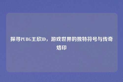 探寻PUBG王欣ID，游戏世界的独特符号与传奇烙印