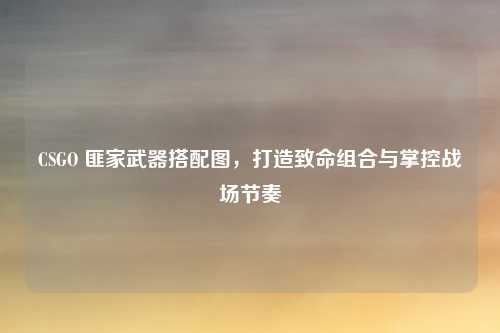 CSGO 匪家武器搭配图，打造致命组合与掌控战场节奏