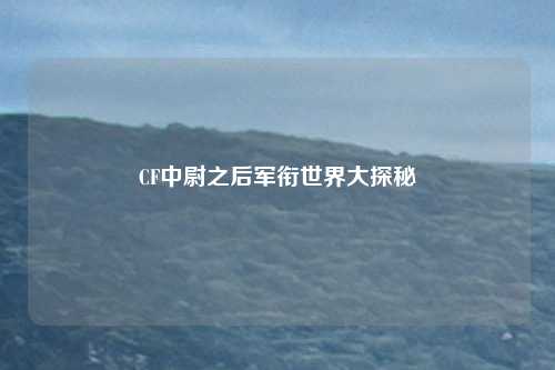 CF中尉之后军衔世界大探秘