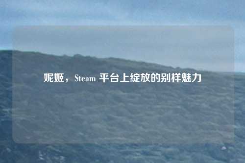 妮姬,Steam 平台上绽放的别样魅力