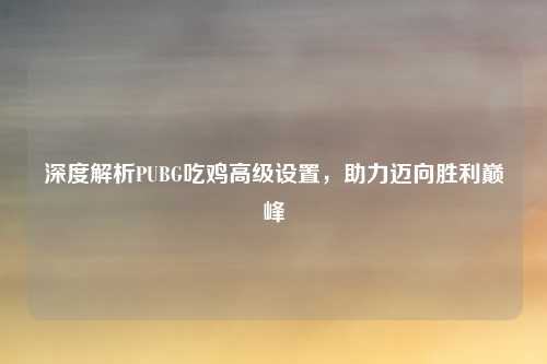 深度解析PUBG吃鸡高级设置，助力迈向胜利巅峰