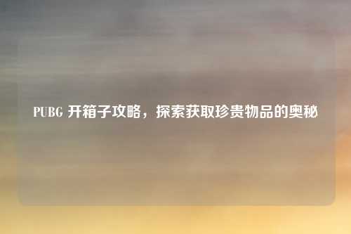 PUBG 开箱子攻略,探索获取珍贵物品的奥秘