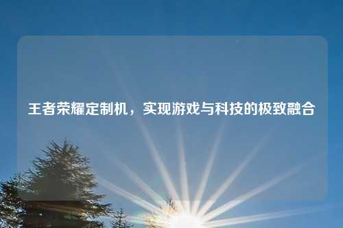 王者荣耀定制机,实现游戏与科技的极致融合