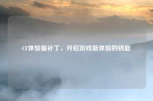 CF体验服补丁，开启游戏新体验的钥匙