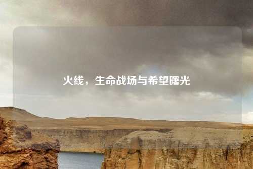 火线，生命战场与希望曙光