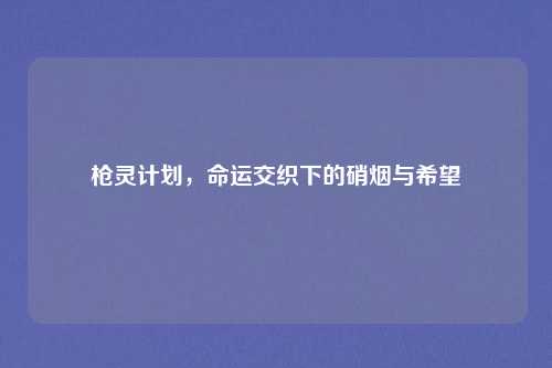 枪灵计划,命运交织下的硝烟与希望