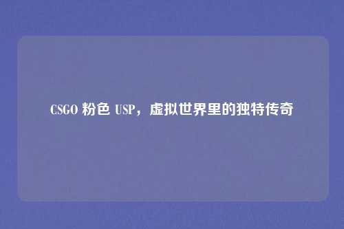CSGO 粉色 USP，虚拟世界里的独特传奇