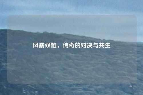 风暴双雄，传奇的对决与共生