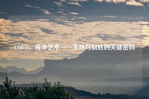 COD16，掩体艺术——生存与制胜的关键密码