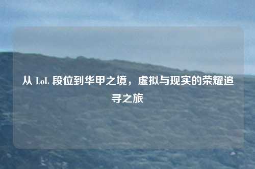 从 LoL 段位到华甲之境,虚拟与现实的荣耀追寻之旅