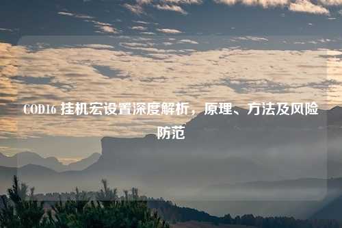 COD16 挂机宏设置深度解析,原理、方法及风险防范