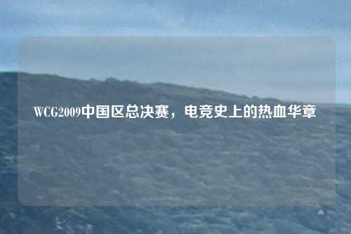 WCG2009中国区总决赛,电竞史上的热血华章