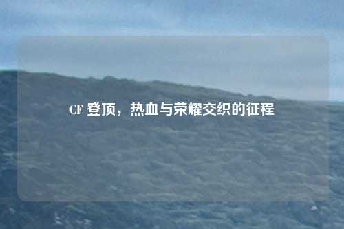 CF 登顶,热血与荣耀交织的征程