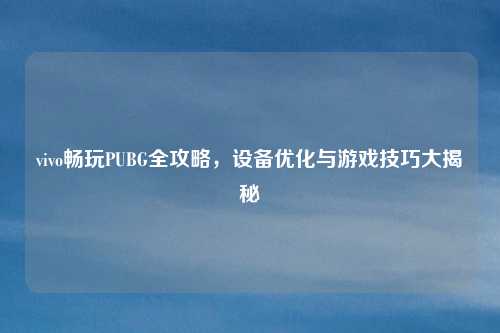 vivo畅玩PUBG全攻略,设备优化与游戏技巧大揭秘