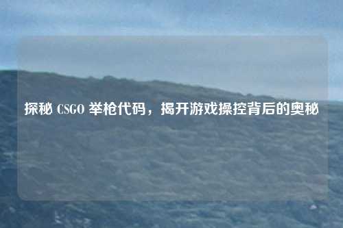 探秘 CSGO 举枪代码,揭开游戏操控背后的奥秘