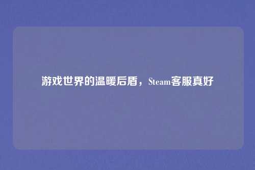 游戏世界的温暖后盾,Steam客服真好