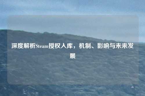 深度解析Steam授权入库，机制、影响与未来发展