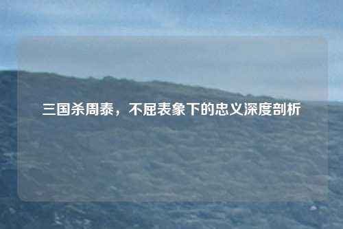 三国杀周泰,不屈表象下的忠义深度剖析