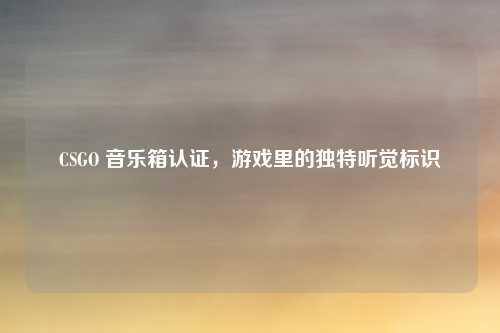 CSGO 音乐箱认证,游戏里的独特听觉标识