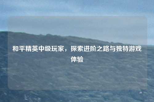 和平精英中级玩家,探索进阶之路与独特游戏体验