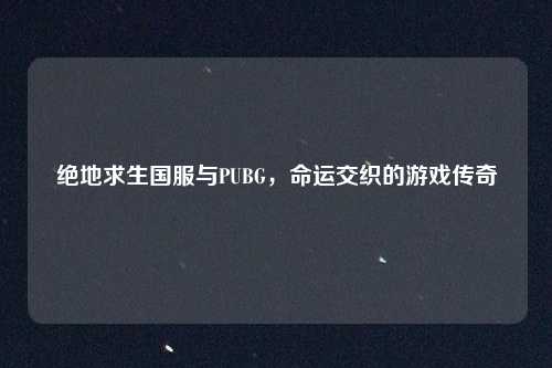 绝地求生国服与PUBG,命运交织的游戏传奇