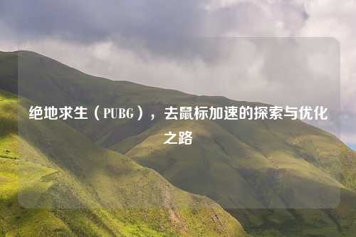 绝地求生(PUBG),去鼠标加速的探索与优化之路