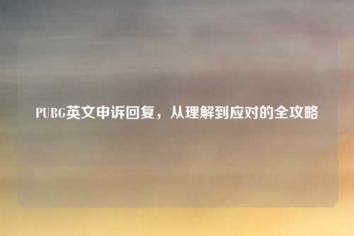PUBG英文申诉回复，从理解到应对的全攻略