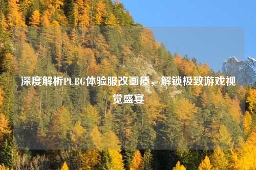 深度解析PUBG体验服改画质,解锁极致游戏视觉盛宴