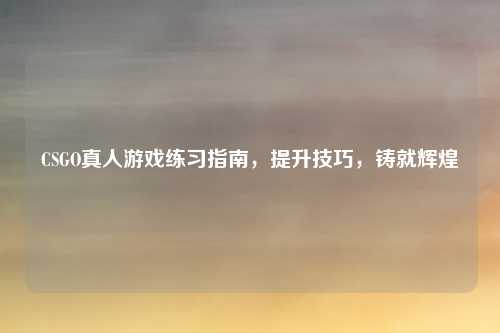 CSGO真人游戏练习指南,提升技巧,铸就辉煌