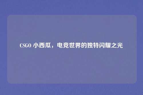 CSGO 小西瓜,电竞世界的独特闪耀之光