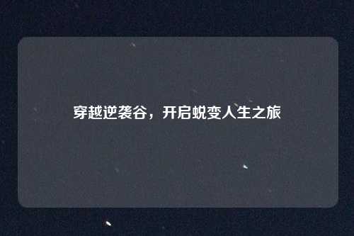 穿越逆袭谷,开启蜕变人生之旅