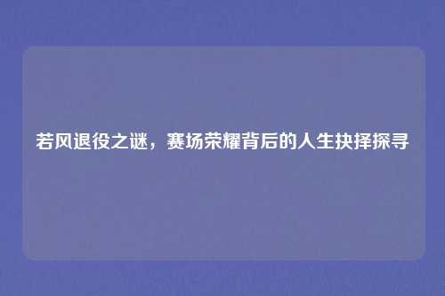 若风退役之谜,赛场荣耀背后的人生抉择探寻