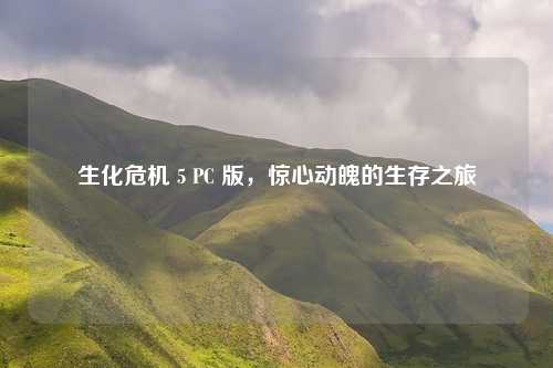 生化危机 5 PC 版,惊心动魄的生存之旅