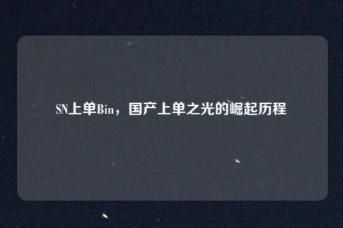 SN上单Bin,国产上单之光的崛起历程