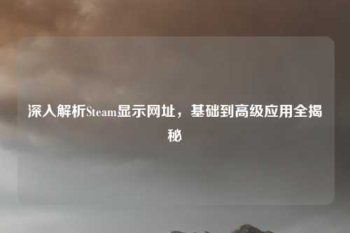 深入解析Steam显示网址,基础到高级应用全揭秘
