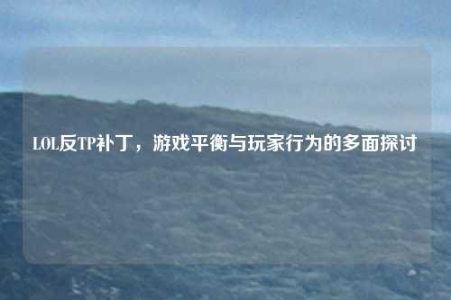 LOL反TP补丁,游戏平衡与玩家行为的多面探讨