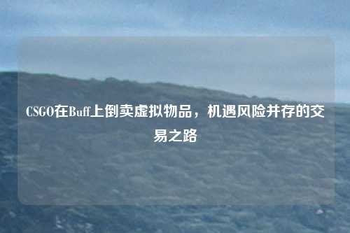 CSGO在Buff上倒卖虚拟物品,机遇风险并存的交易之路