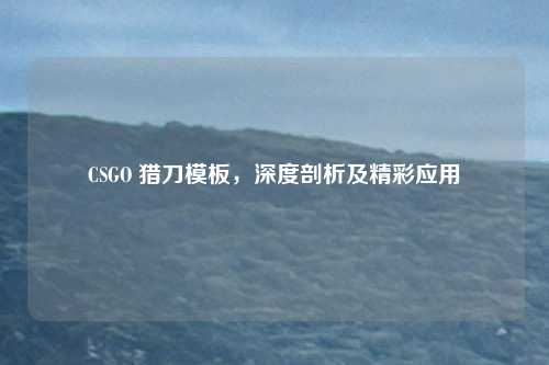 CSGO 猎刀模板,深度剖析及精彩应用