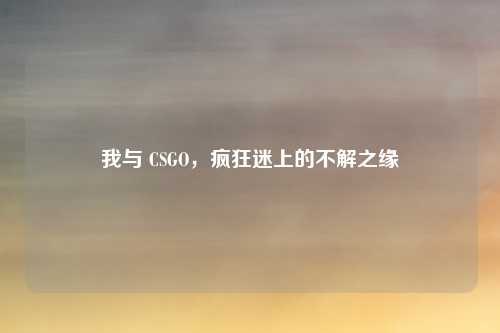 我与 CSGO,疯狂迷上的不解之缘