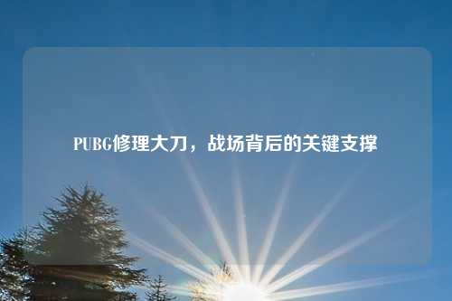 PUBG修理大刀,战场背后的关键支撑