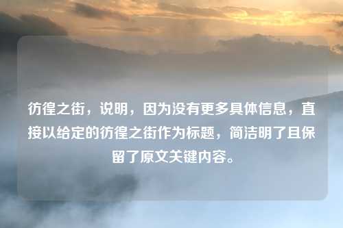 彷徨之街,说明,因为没有更多具体信息,直接以给定的彷徨之街作为标题,简洁明了且保留了原文关键内容。