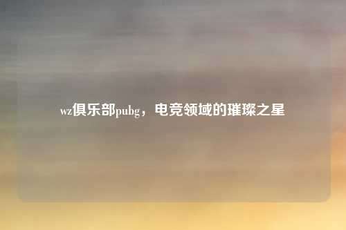 wz俱乐部pubg,电竞领域的璀璨之星