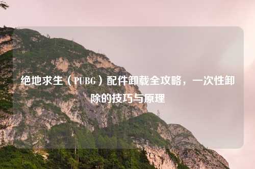绝地求生(PUBG)配件卸载全攻略,一次性卸除的技巧与原理