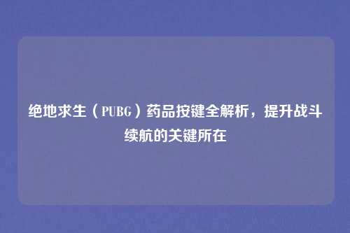 绝地求生(PUBG)药品按键全解析,提升战斗续航的关键所在