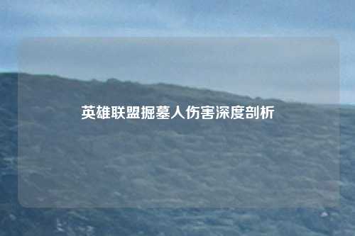 英雄联盟掘墓人伤害深度剖析