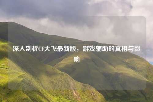 深入剖析CF大飞最新版,游戏辅助的真相与影响