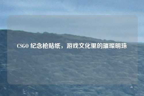 CSGO 纪念枪贴纸,游戏文化里的璀璨明珠