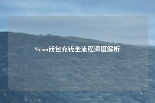 Steam钱包充钱全流程深度解析