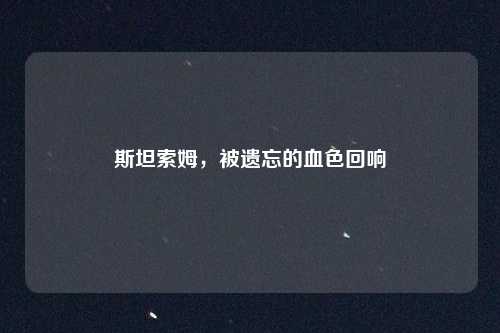 斯坦索姆,被遗忘的血色回响